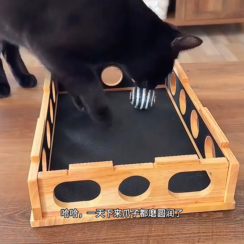 Royi Store Claw Labyrinth Cat  - Board Game Store ulasan dan harga
