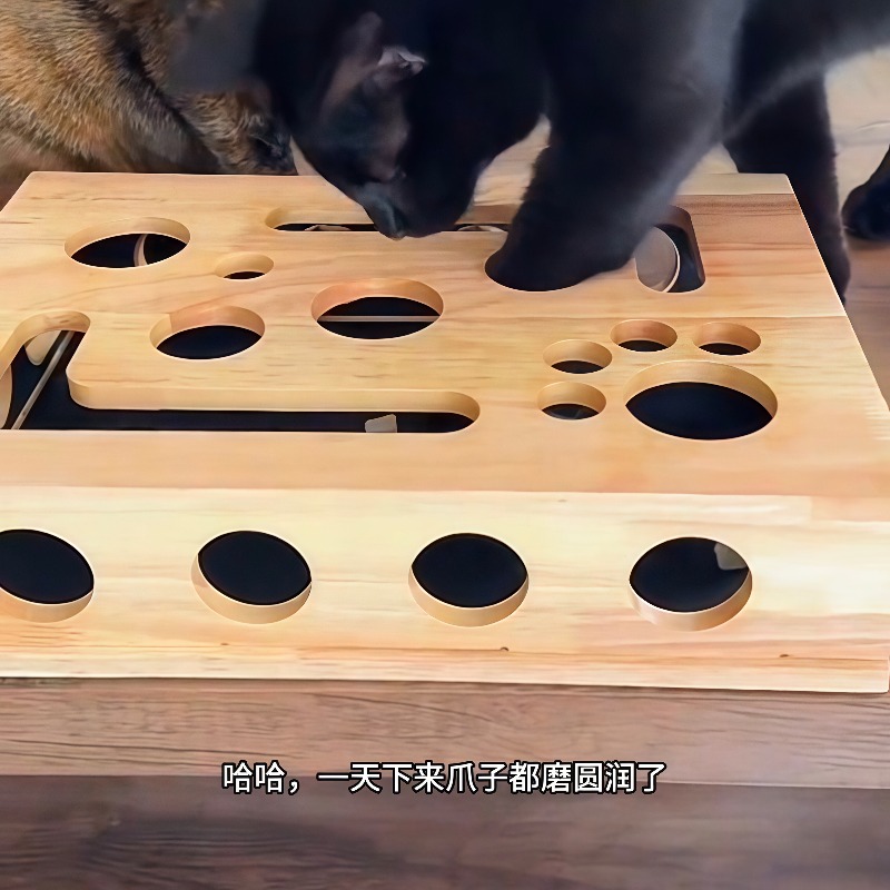 Royi Store Claw Labyrinth Cat  - Board Game Store ulasan dan harga